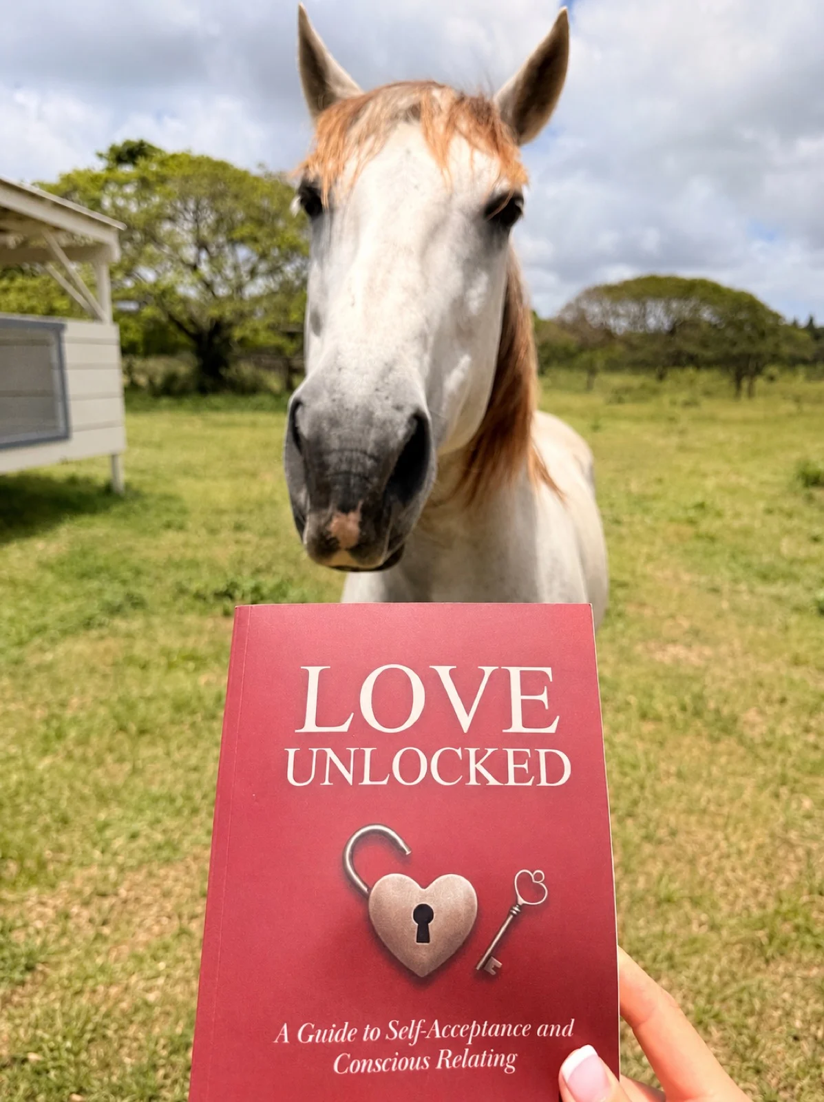 A friend caught this one with my book out in the field. We learn how to love long before we have the words for it.